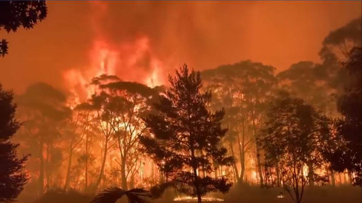 BLAZE: Flames were caught on video roaring above the height of trees at Mount Tomah. Photo: TERREY HILL RURAL FIRE BRIGADE
