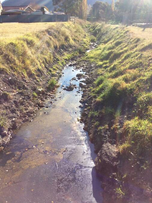  WHAT A SIGHT: Our Tank (Street) Stream is no heritage gem. Photo: SUPPLIED 