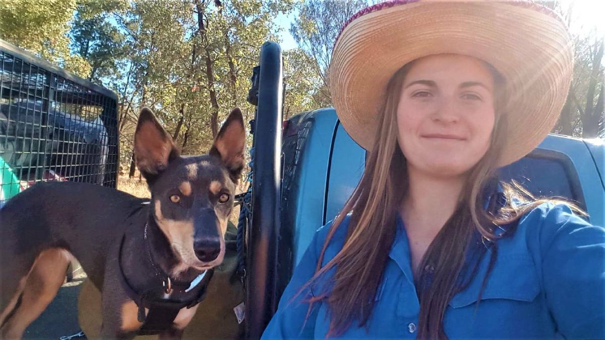 ADVENTURE OF A LIFETIME: Jaime Balzke and her kelpie pup Jodie hit the road to Queensland. Photo: SUPPLIED. 