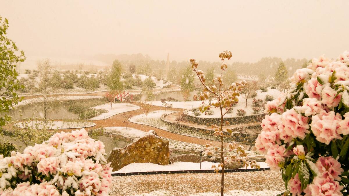 VIEW: A picturesque view of Mayfield gardens in the winter. 