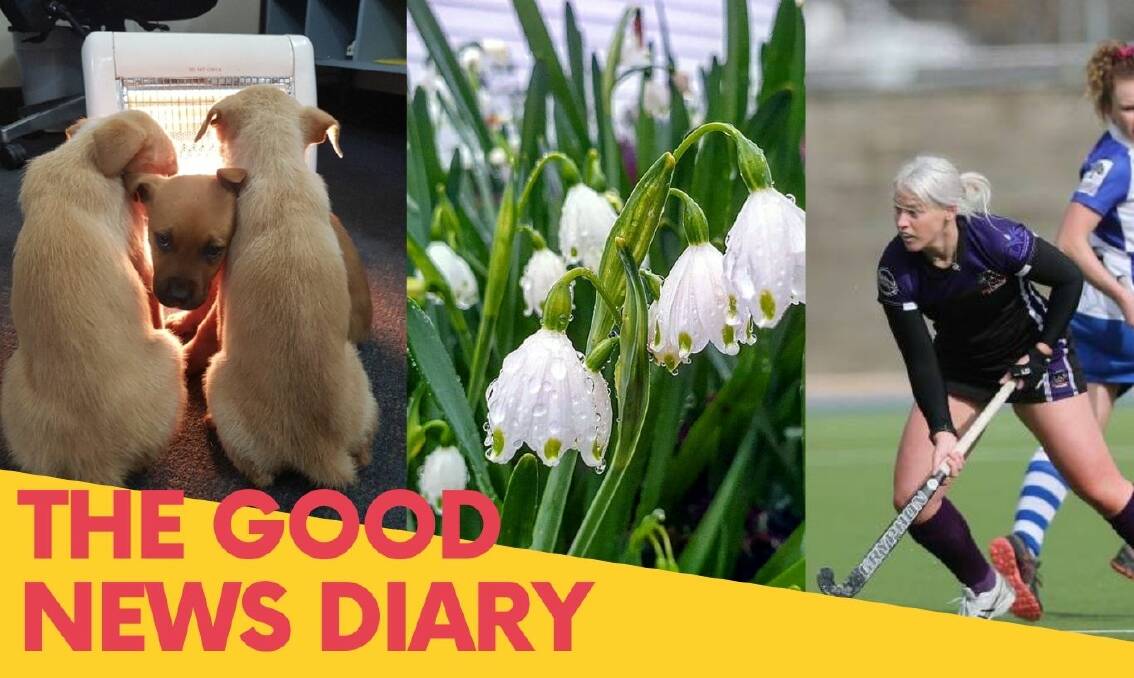 Lithgow's Good News Diary: Friday September 11
