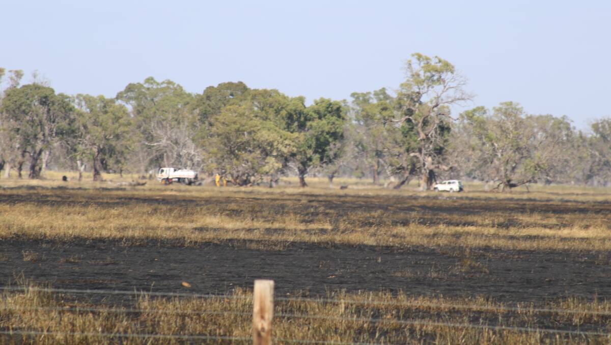 Fire crews work to extinguish the Blackford fire at Lucindale. Photo: ELISABETH CHAMPION 