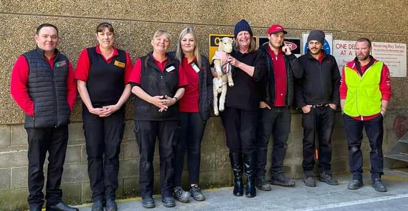 Debbie Cody holding a Carry Me Home rescue lamb with Coles team members after receiving a donation of food. Picture: Supplied