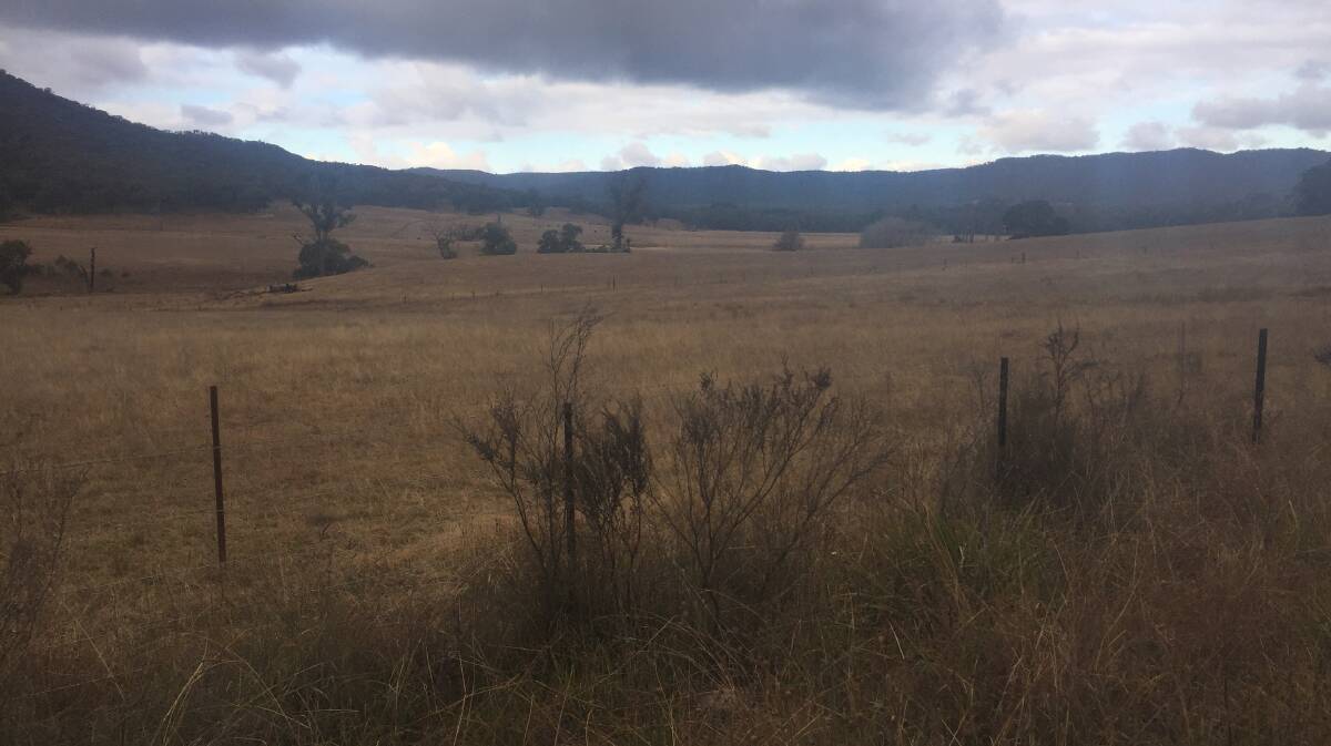 BIG DRY: Hartley farmland, picture taken first weekend of June. Picture: PHOEBE MOLONEY. 