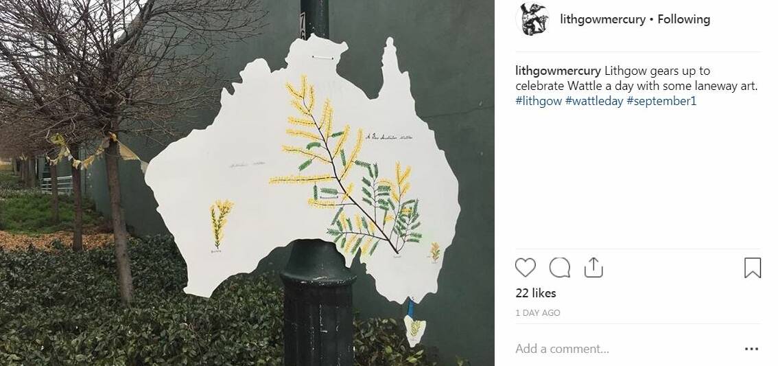 Tidy Towns plant timely Wattle Day reminder