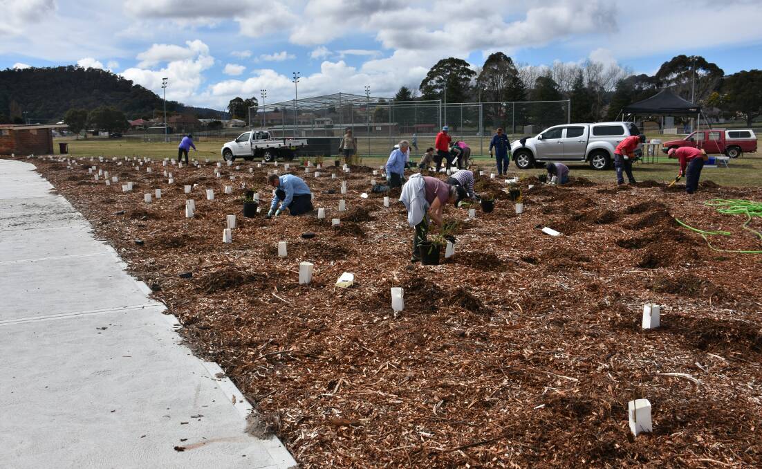 BUSY BEES: Volunteers at Farmers Creek for National Tree Day. Picture: PHOEBE MOLONEY