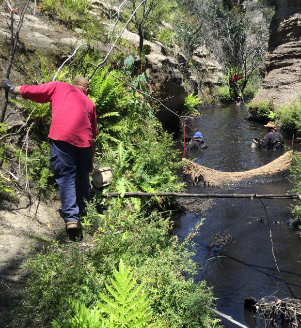 EPA officers investigate the extent of the impact of coal fines entering the Wollangambe River. Picture: SUPPLIED