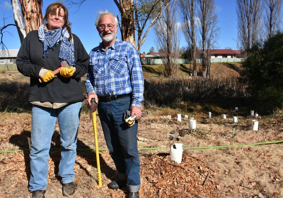 PLANTING LIFE: Secretary of the Lithgow Oberon Landcare Association Trish Kidd and volunteer Vaughan Bryers at Farmers Creek. Picture: PHOEBE MOLONEY. 