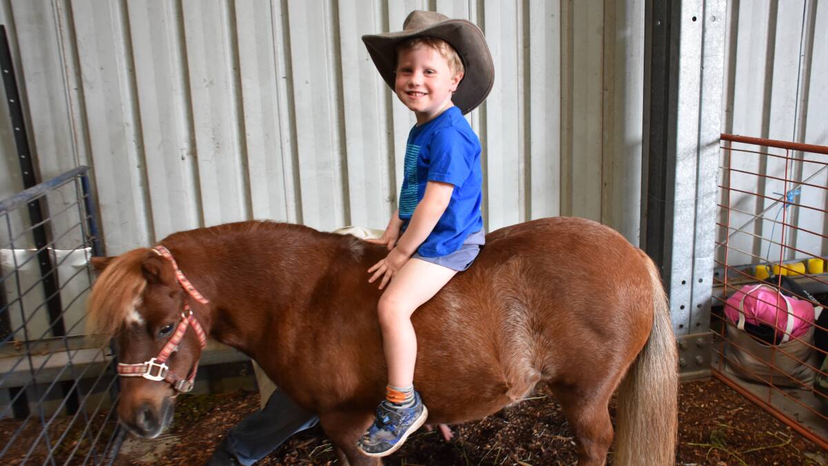 ON BOARD: Jack Horton gets a seat on the pony at the animal nursery. 
