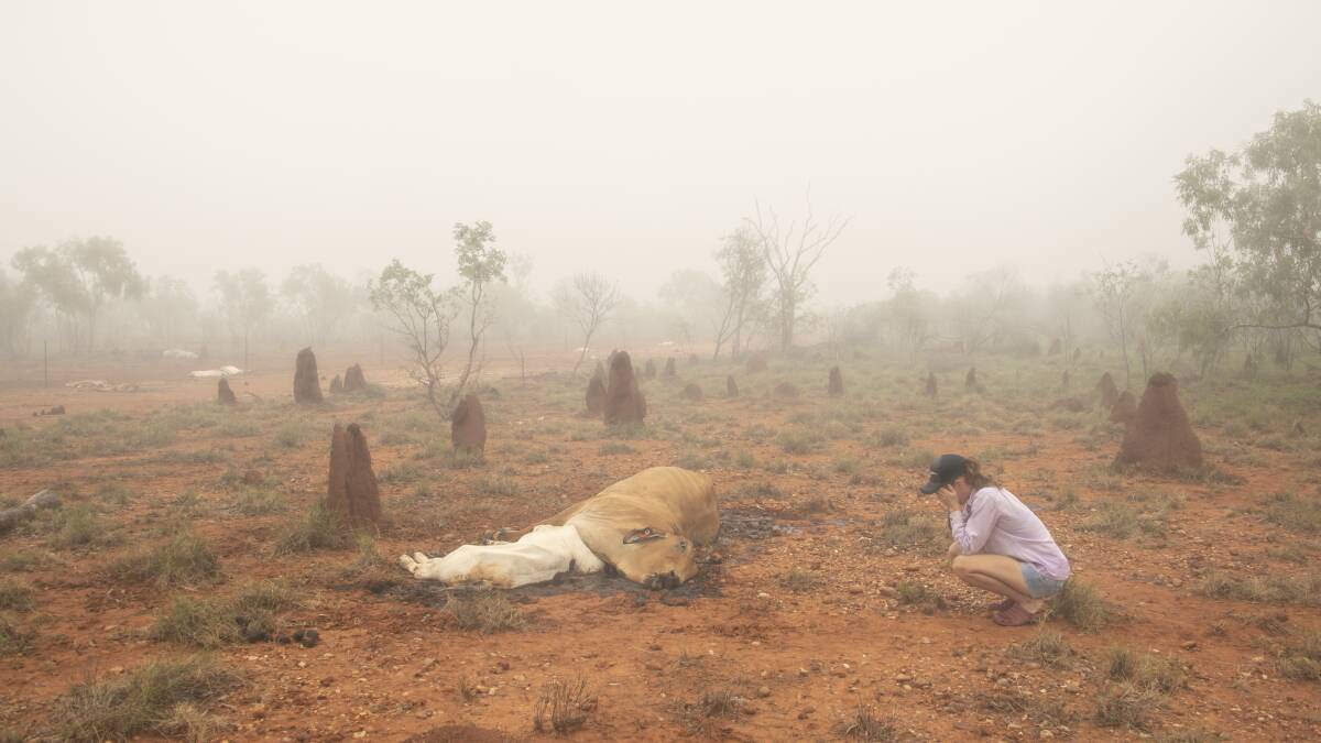 Despair is the overpowering emotion captured by Cloncurry grazier Jacqueline Curley in this image judged one of the best in the world of agricultural journalism last year.