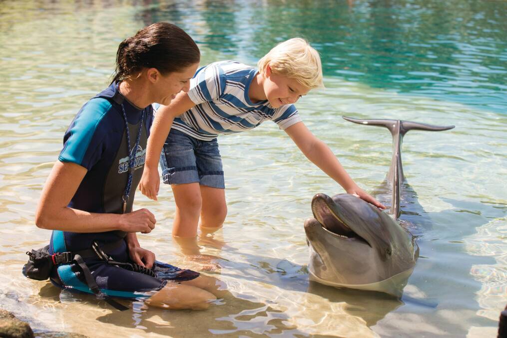 It's hard to beat Sea World. Picture: Supplied