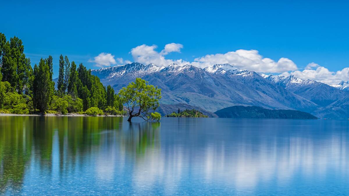 Beauty: When you think of New Zealand you think of scenes of lakes surrounded by snow capped mountains such as the Wanaka Tree, South Island.