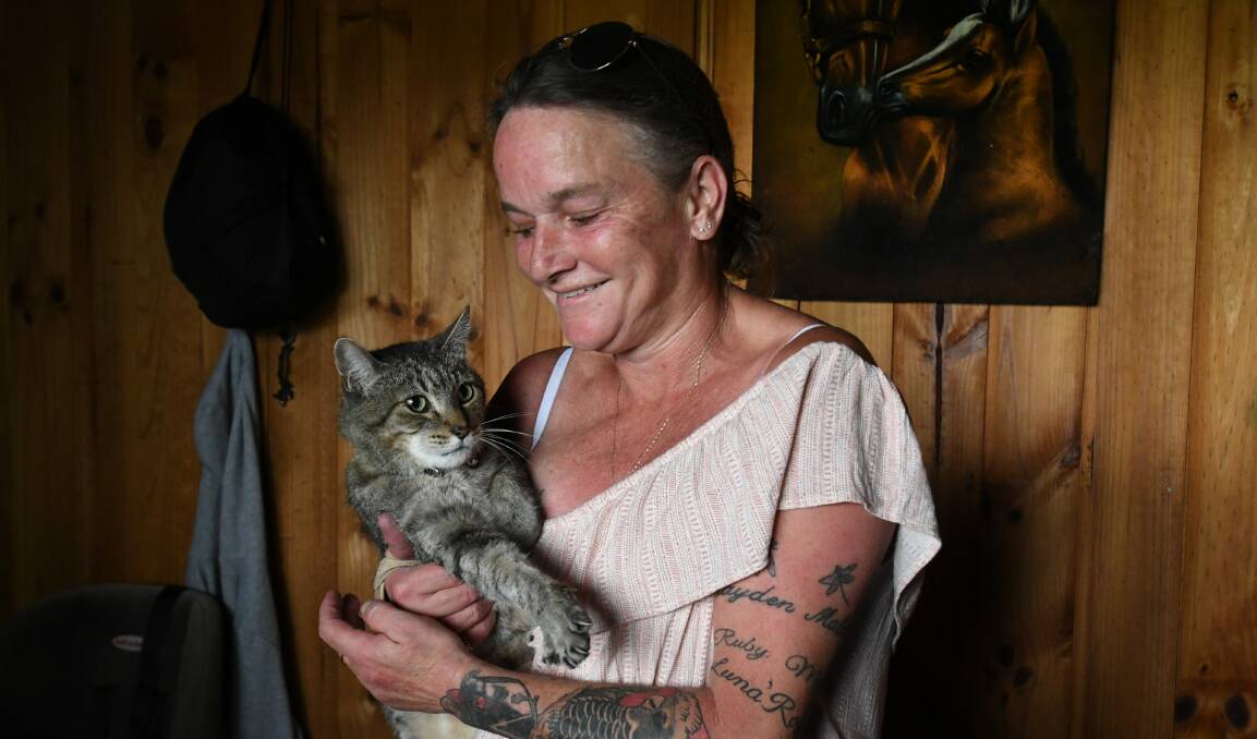 LONG ADVENTURE: Frank the cat has been reunited with his owner Jodie Munro thanks to a microchip. Photo: CHRIS SEABROOK
