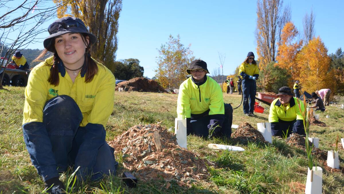TREE PLANTING: Kiana Reynolds, Rebecca Garland and Brad Timlin doing their part in the regeneration of Farmers Creek in May. Picture: HOSEA LUY
