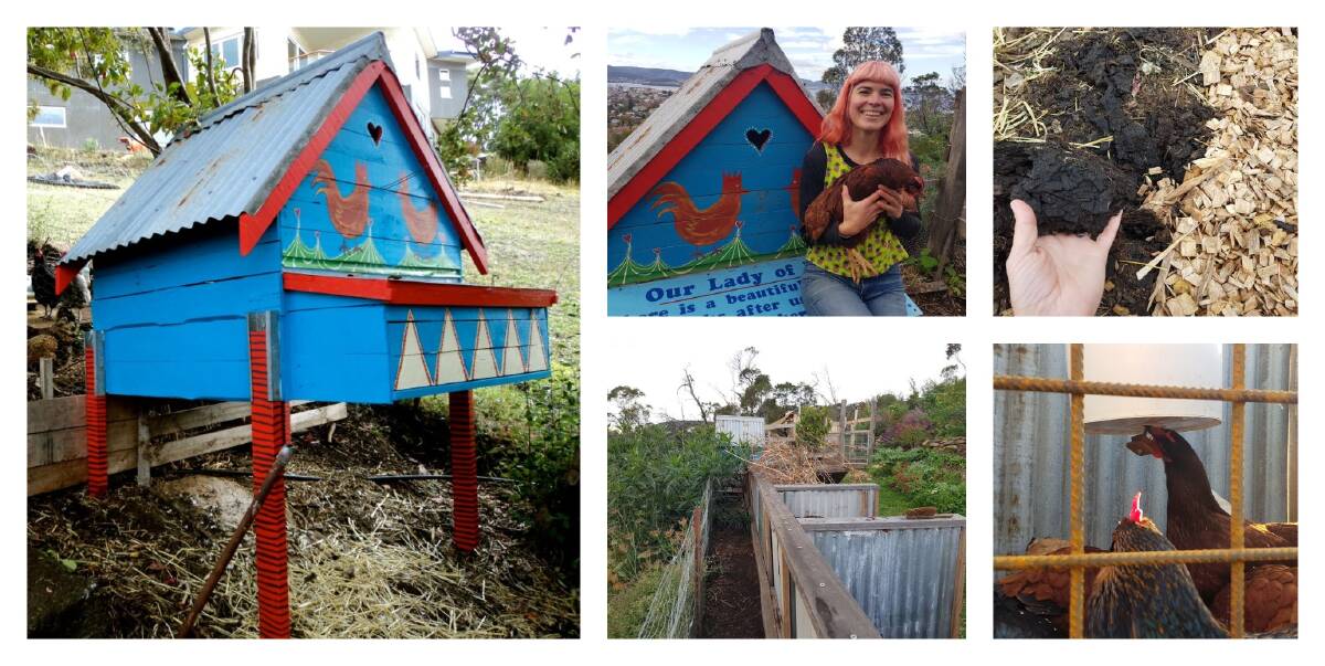 TIPS AND TRICKS: There are some simple systems worth implementing in your own chook run to make life better for all involved. Clockwise from left, the self-cleaning chook house design allows poo to fall through the floor easily and eggs can be collected from the outside; the ground should always be covered in something like woodchip or brown leaves to help prevent stinky smells; chicken self feeders are a great way to keep rodents out of the grain; and chicken tunnels or passages are a great way to give chickens more room to roam. Pictures: Hannah Moloney.