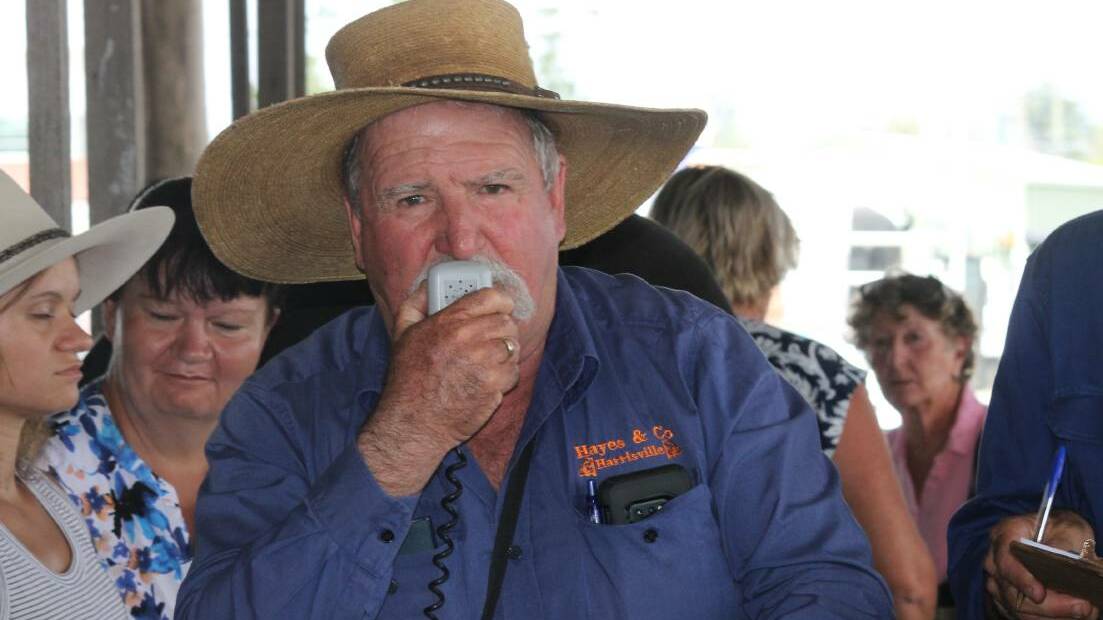 Peter Hayes conducts his second last small livestock auction at Beaudesert saleyard. Picture: Larraine Sathicq