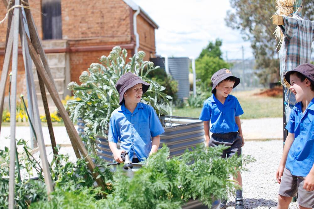 Thinking outside the box: The kitchen garden in Molong is just one of their many innovative projects.
