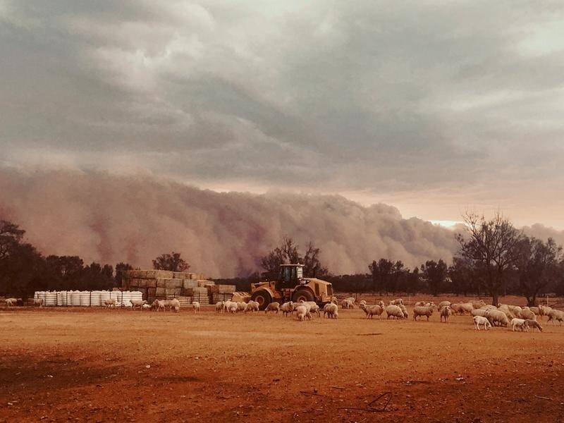 A dust storm that swept across regional NSW caused damage to sheds and shearing quarters.