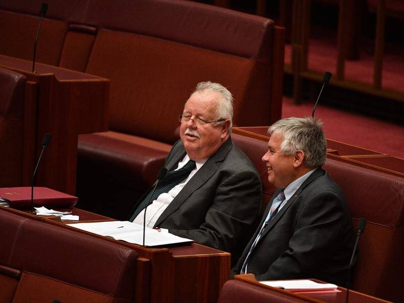 Nationals Senator Barry O'Sullivan, left, votes against the government on the Paris climate accord.