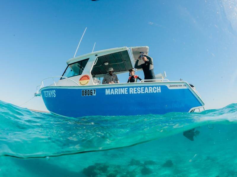 A new marine research laboratory on Ningaloo Reef will examine the impacts of climate change.