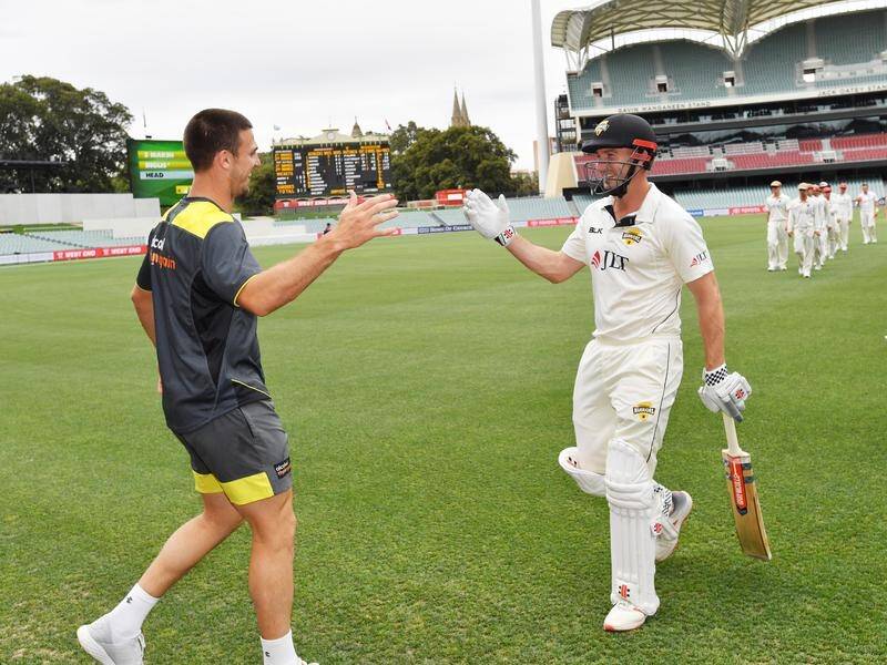 Ex-Australian batsman Adam Voges expects big things from Mitch and Shaun Marsh (pic) this summer.
