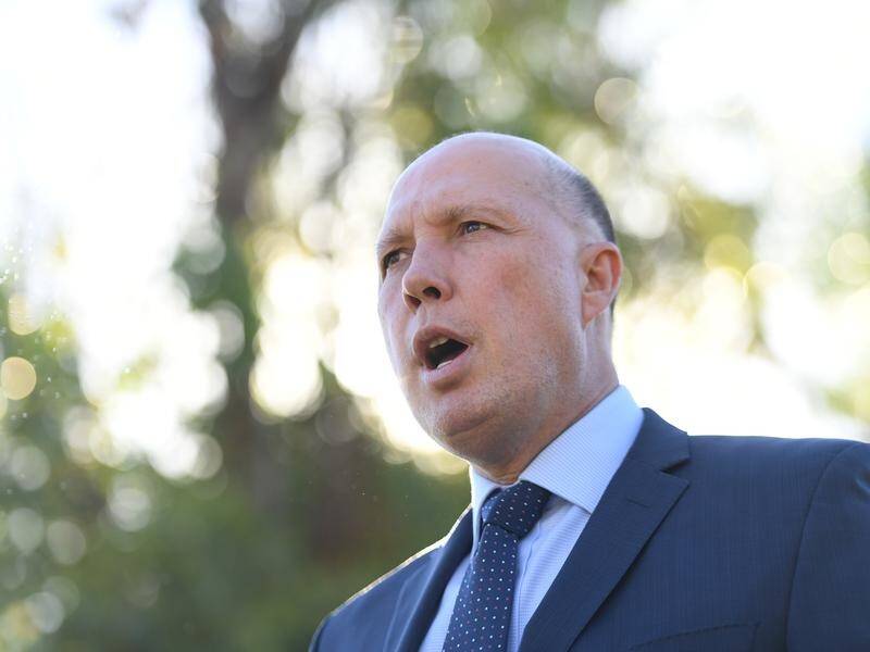 Peter Dutton is having a war of words about media freedoms with crossbench senator Rex Patrick.