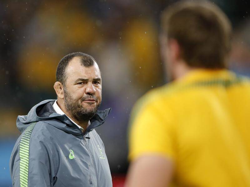 Australia coach Michael Cheika argued with rugby boss Raelene Castle at a World Cup function.