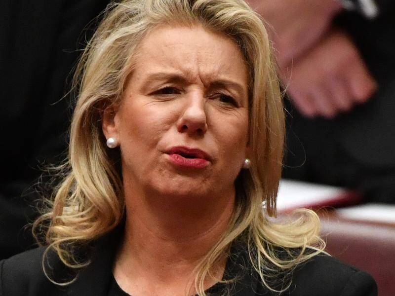 Former sports minister Bridget McKenzie is under pressure for politicising a $100m grants program.
