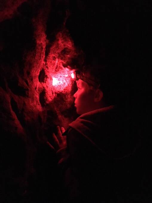 GLOW WORMS: Wolgan Valley Eco Tours' younger guests love exploring the illuminating glow worms (Fungi Gnats) on the 'Glow Worm Tunnel Hike'. Picture: KRISTIE KEARNEY. 
