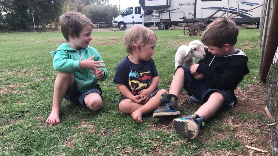 DROUGHT RELIEF: Visitors from Lithgow bond with a lamb from Tooraweenah. Pictures: SUPPLIED. 