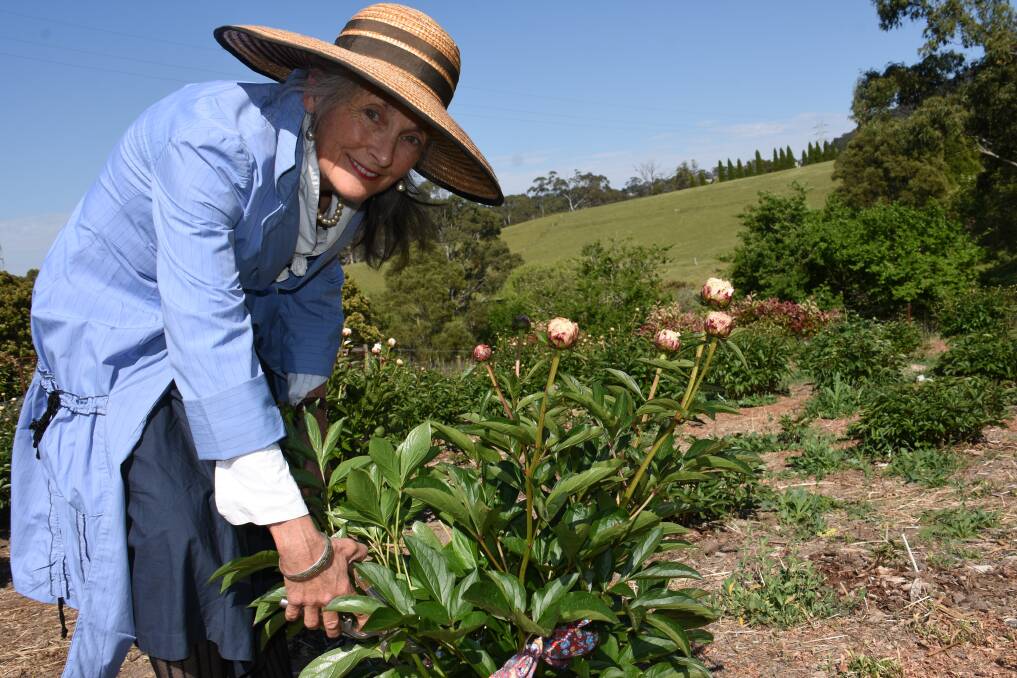 Where the peonies grow: Sarah Childs in her peonie garden. Picture: KIRSTY HORTON. 