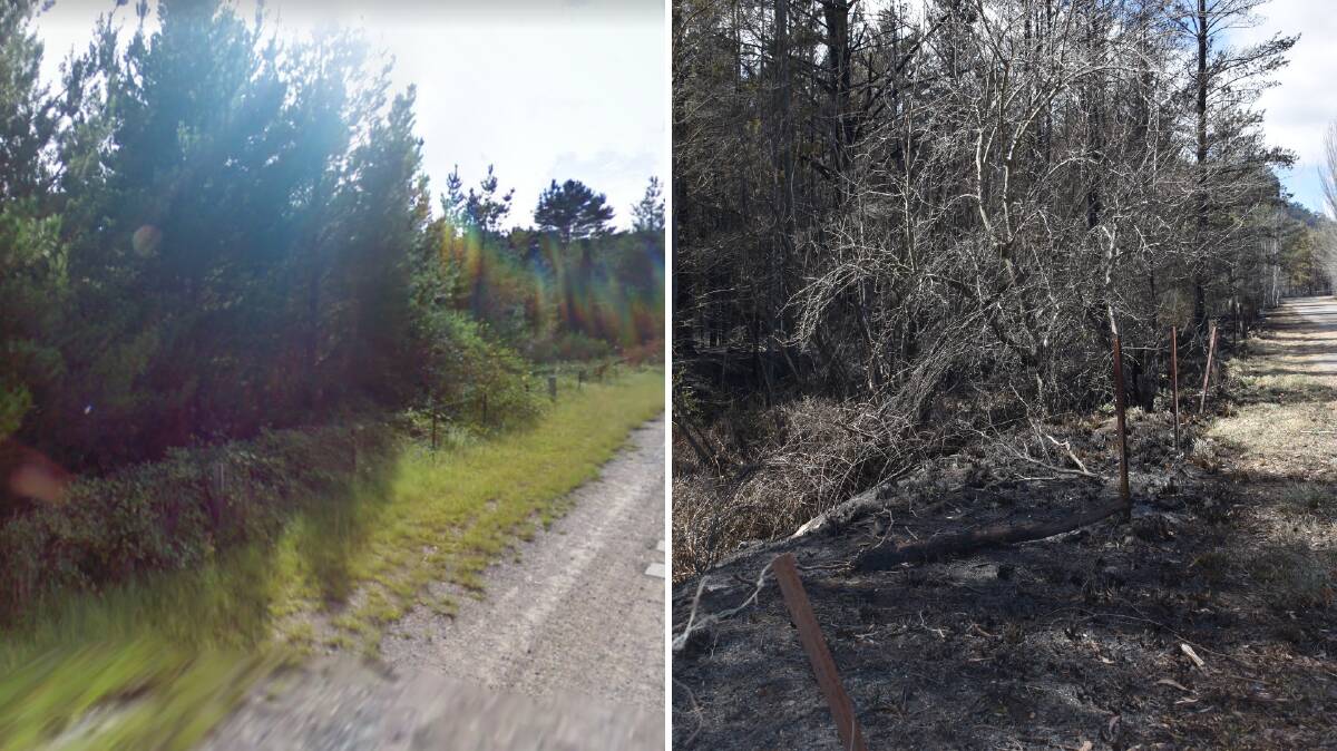 Maddox Lane before and after the fire. (Before image from Google Maps). 