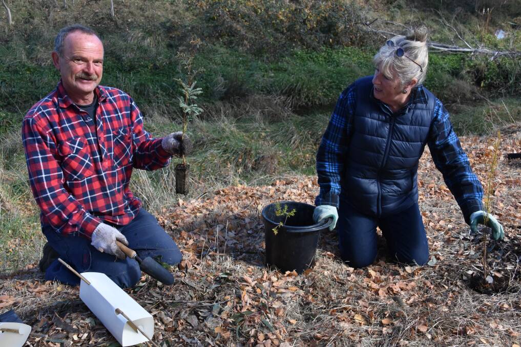 IMPROVING HABITAT: Thomas Ebersoll and Julie Favell from Lithgow Environment Group at a recent Farmers Creek planting day. Picture: PHOEBE MOLONEY.  