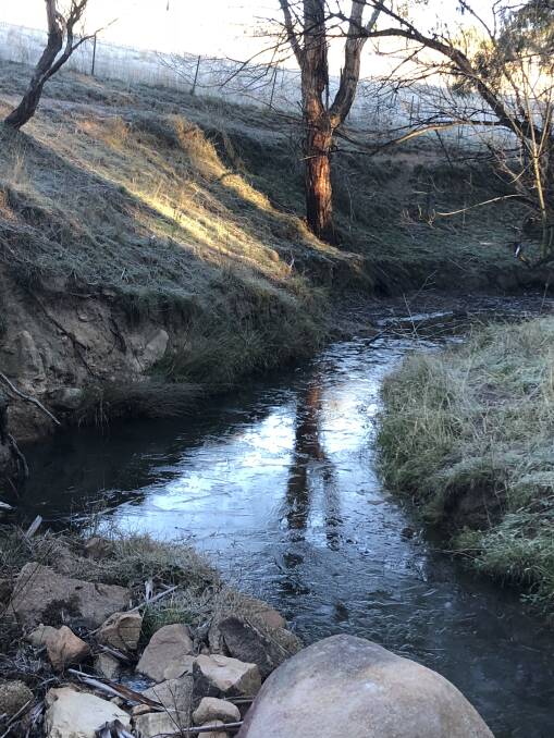 COLD SNAP: At Tarana, even the creeks froze on Saturday morning, June 22. Picture: Graham Fletcher.