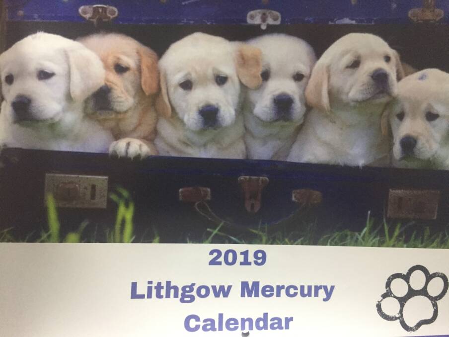 Pet smiles abound in Lithgow Mercury’s new 2019 wall calendar