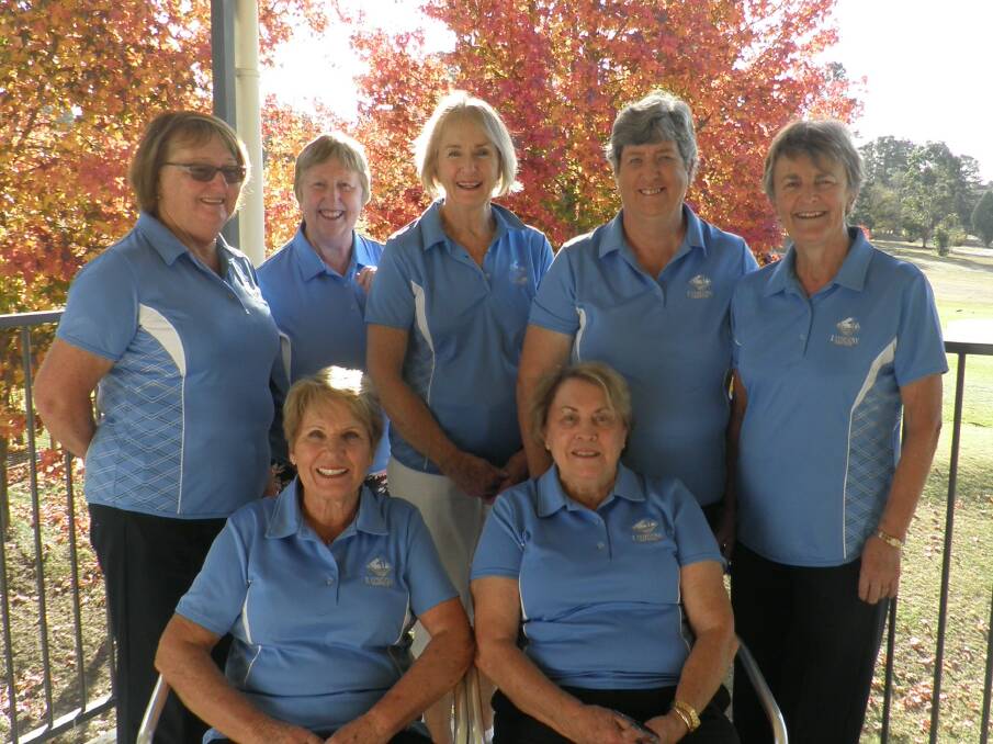 TRUE BLUE: (Back) Sue Brooks, Marie Hackett, Narelle Potts, Lynne Ritchie and Olwyn King, (front) Janice Cohen and Di McGuire. Picture: SUPPLIED. 