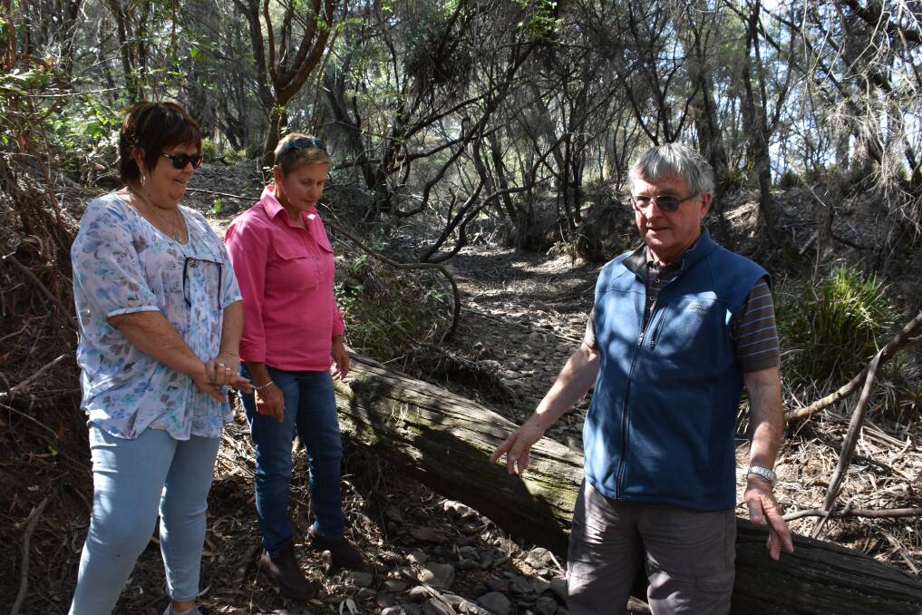 DRY: Residents Lyn Mickklesson, Pam Day and Seamus Casey in the dry river bed at Hartley Vale. Picture: KIRSTY HORTON. 