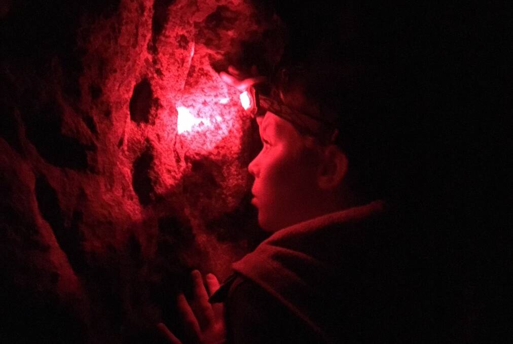 SILVER AWARD: A young visitor enjoys the illuminating glow worms (Fungi Gnats) on Wolgan Valley Eco Tour's Glow Worm Tunnel Hike. Picture: Kristie Kearney. 