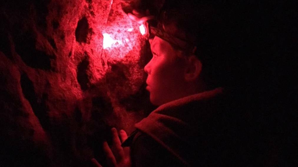 ECO TOUR: From the Glow Worm Tunnel Hike. Picture: Kristie Kearney.