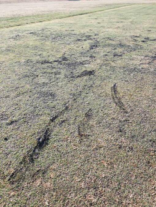 DOG DAMAGE: An image of the damage turf shared by Lithgow District Cricket Association. 