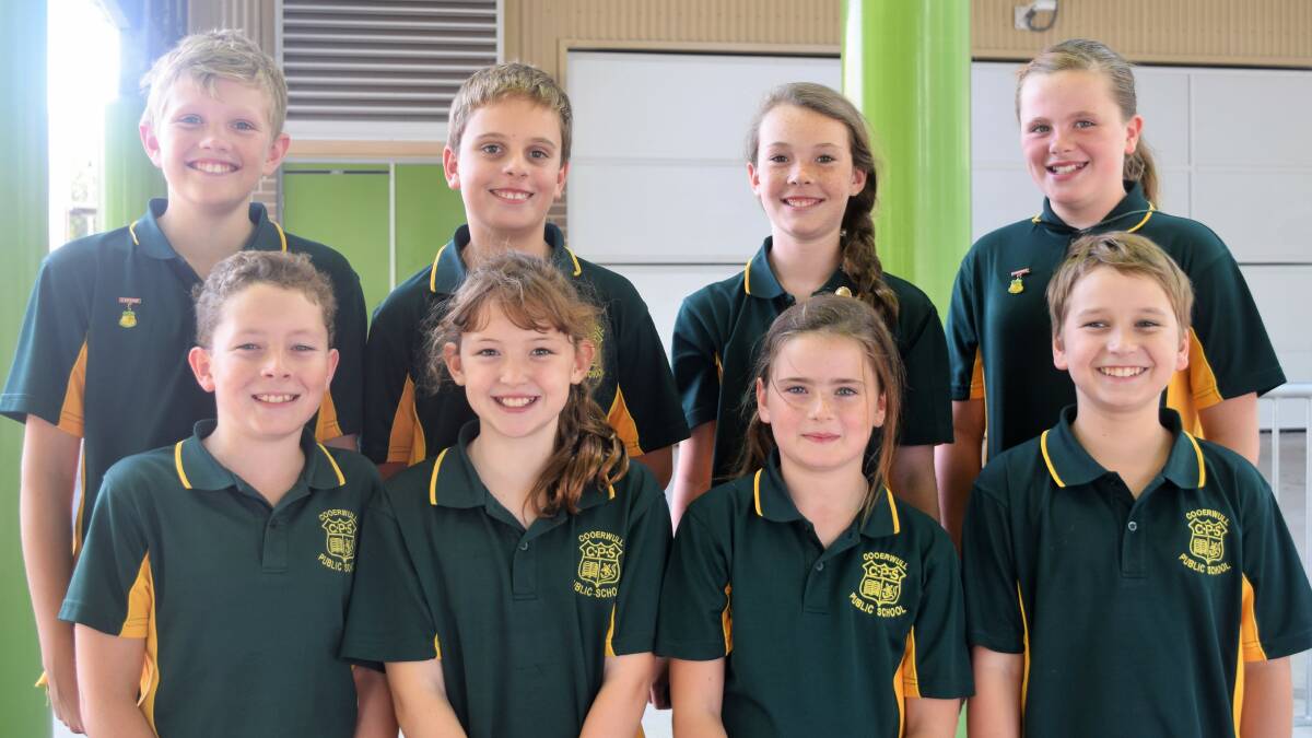 Cooerwull's regional team. Picture: SUPPLIED. 