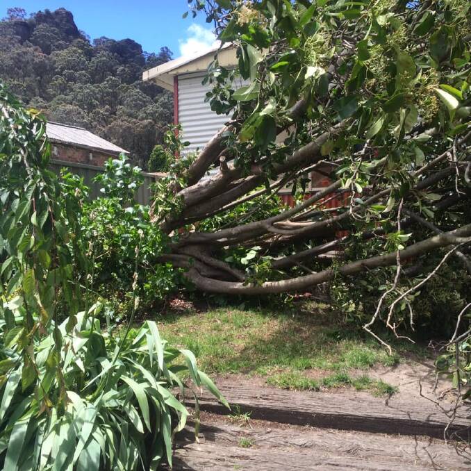 DAMAGE: One of the backyards damaged in last week's wind storms. Picture: SUPPLIED. 