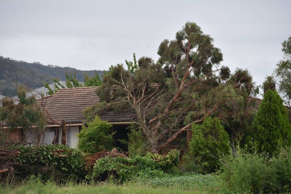 STORM: A tree lies on a house on Hayley Street. Picture: KIRSTY HORTON. 