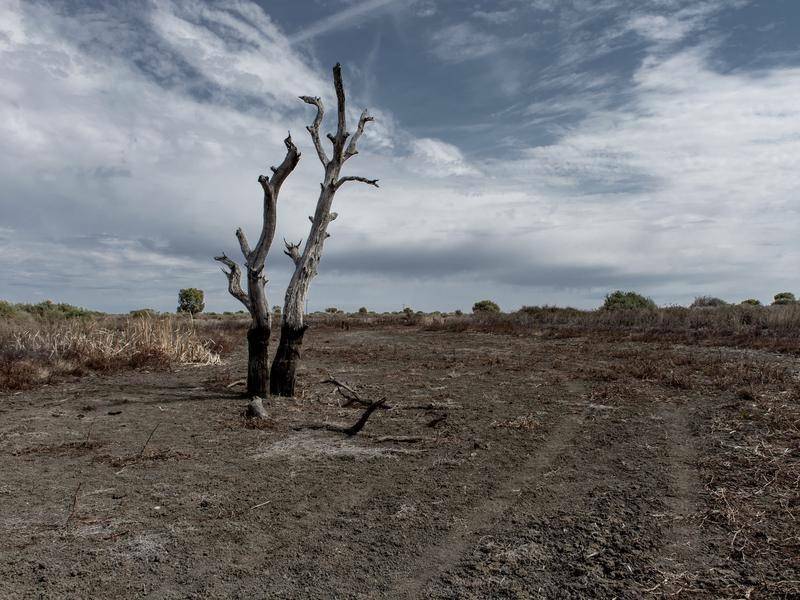 Large parts of western and central NSW remain in drought or intense drought. Picture: FILE IMAGE. 