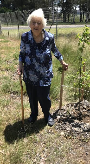 Marjorie Orchard after planting a tree at St John's Church. 