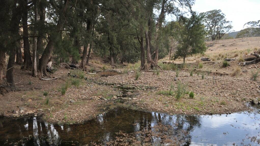 BEFORE: Waters are stilled in Palmers Oakey Creek during the drought.