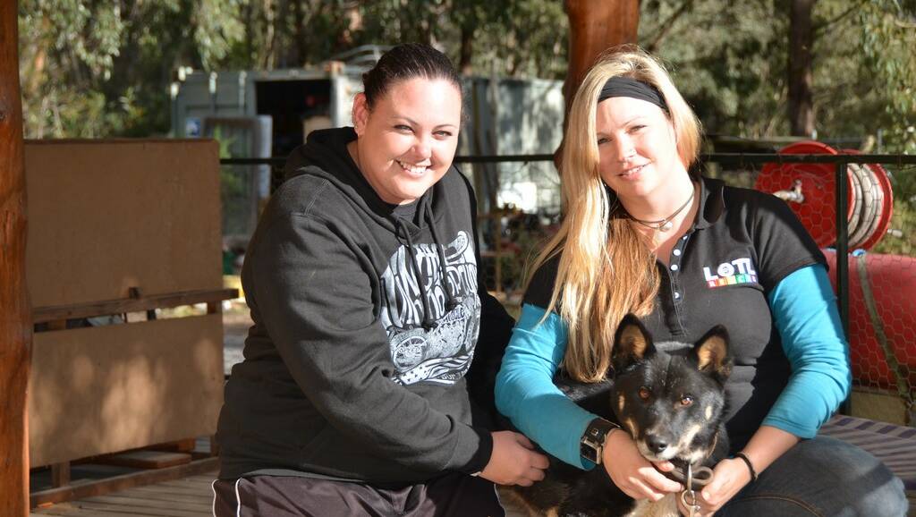MEET AUSTRALIA’S FIRST CONSERVATION DINGO: Secret Creek volunteers Talei Smith, and Danielle Warner with Fred the dingo. 	lm060214dingo