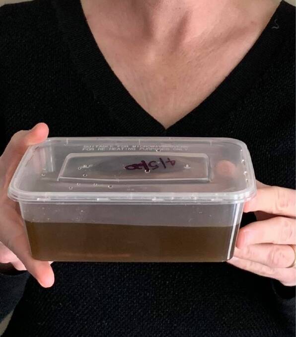 DIRTY WATER: A concerned Inch Street resident shows the 'coffee like' sample with evidence of brown water pouring from the tap inside her home. Pictures: SUPPLIED.
