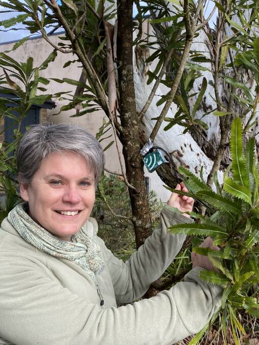 Dr Kellie Leigh with one of the discreet koala listening devices. Photo: Supplied