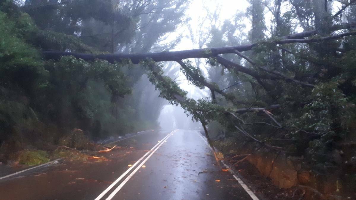 The Bells Line of Road is closed after landslides brought trees down in the Mount Tomah area. Photo: TRANSPORT FOR NSW